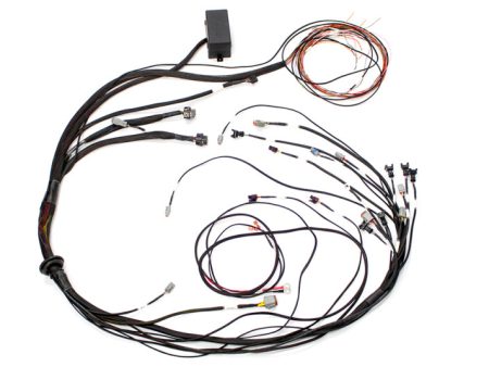 Haltech Mazda 13B (S6-8 CAS w IGN-1A Ignition) Elite 1000 Terminated Harness Discount