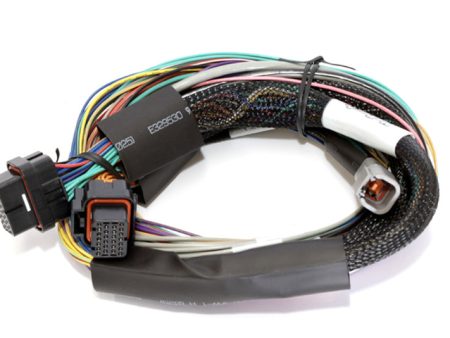 Haltech Elite 2500 8ft Basic Universal Wire-In Harness (Excl Relays or Fuses) Discount