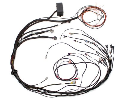 Haltech Mazda 13B (S6-8 CAS w Flying Lead Ignition) Elite 1000 Terminated Harness Sale