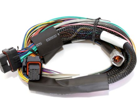 Haltech Elite 1000 8ft Basic Universal Wire-In Harness (Excl Relays or Fuses) Online now