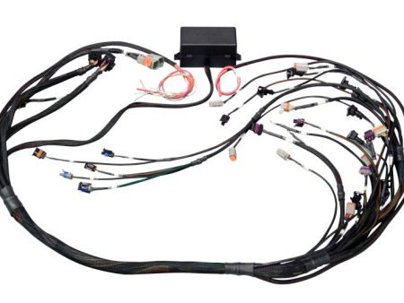 Haltech GM GEN III LS1 & LS6 (Non DBW) Elite 2000 2500 Terminated Harness w EV1 Injector Connectors on Sale