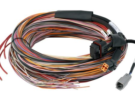 Haltech PD16 Flying Lead Harness 5M on Sale