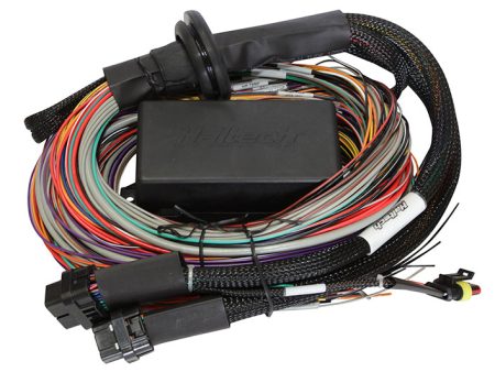 Haltech Elite 1500 8ft Premium Universal Wire-In Harness Supply