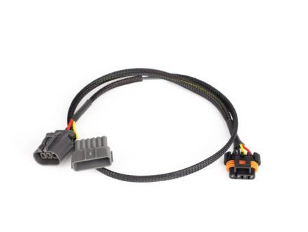 Haltech Nissan RB30 LS1 Coil Sub-Harness For Discount