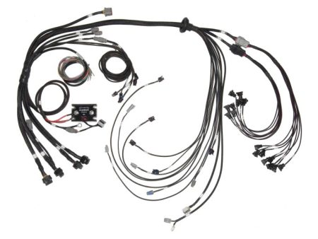 Haltech V8 BB SB GM Ford Chrysler Hemi Elite 2500 & REM 16 Injector Terminated Harness w EV1 Inj Online now