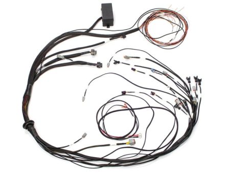 Haltech Mazda 13B (S4 5 CAS w Flying Lead Ignition) Elite 1000 Terminated Harness Hot on Sale