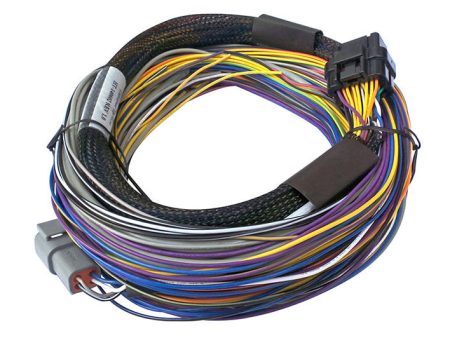 Haltech Elite 750 8ft Basic Universal Wire-In Harness Online