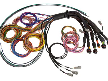 Haltech NEXUS R5 Basic Universal Wire-In Harness Hot on Sale