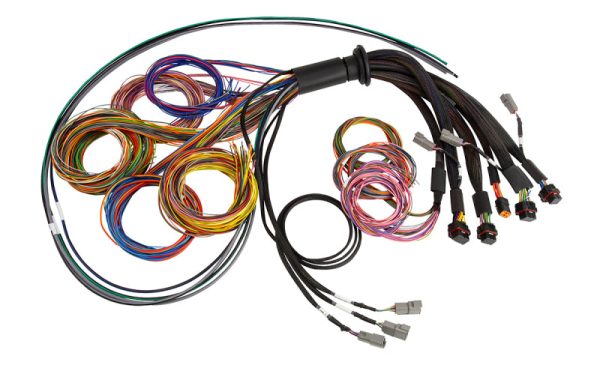 Haltech NEXUS R5 Basic Universal Wire-In Harness Hot on Sale