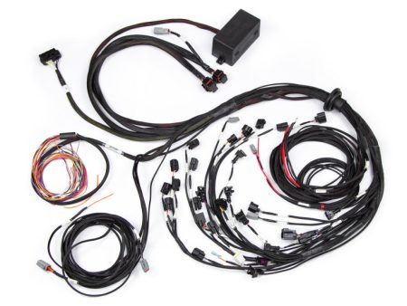 Haltech Ford Falcon BA BF Barra 4.0 Elite 2500 Terminated Harness w EV1 Injector Connectors Cheap