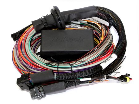 Haltech Elite 2500 & 2500 T 8ft Premium Universal Wire-In Harness Online Hot Sale