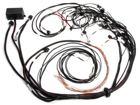 Haltech Ford Falcon FG Barra 4.0 Elite 2500 Terminated Harness w OE EV1 Injector Connectors Hot on Sale