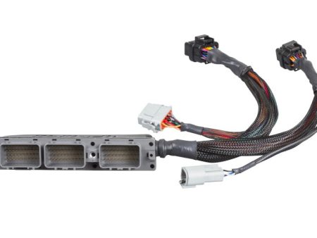 Haltech Toyota Supra JZA80 2JZ (Non VVTi w M T Only) Elite 2000 2500 Plug-n-Play Adaptor Harness For Discount