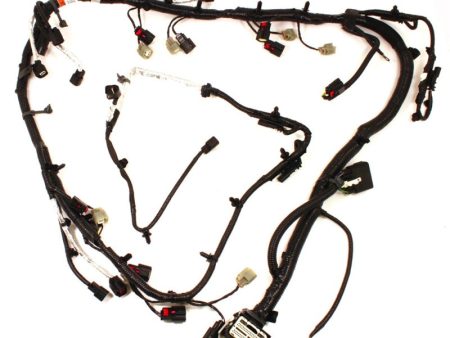 Ford Racing 5.0L Coyote Engine Harness Hot on Sale