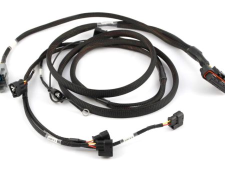 Haltech Toyota 2JZ Elite 2000 2500 Terminated HPI6 Ignition Harness Fashion