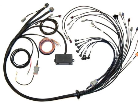 Haltech V8 Big Small Block GM Ford Chrysler Elite 2000 2500 Terminated Harness w EV1 Inj Connectors Online Hot Sale