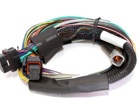 Haltech Elite 1500 8ft Basic Universal Wire-In Harness (Excl Relays or Fuses) Hot on Sale