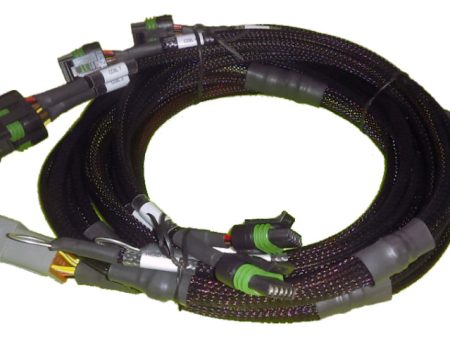 Haltech Big Block Small Block Ford V8 8 Channel Individual High Output IGN-1A Inductive Coil Harness For Cheap