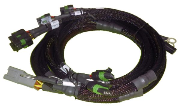 Haltech Big Block Small Block Ford V8 8 Channel Individual High Output IGN-1A Inductive Coil Harness For Cheap