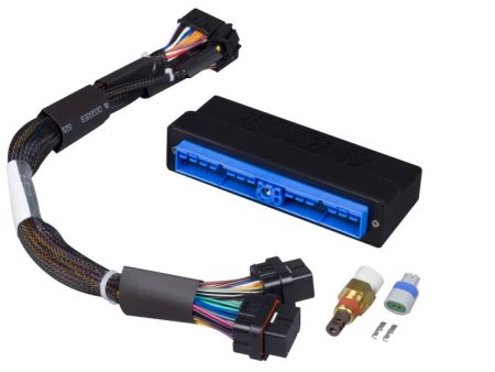 Haltech Nissan Patrol Safari Y60 Y61 (A T   TB45E Only) Elite 2000 2500 Plug-n-Play Adaptor Harness Online